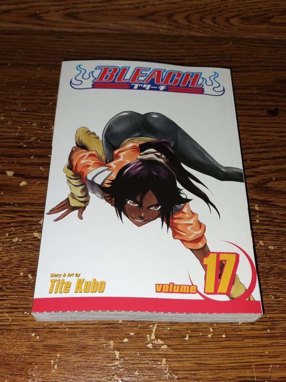 Bleach Vol. 17 Manga in English by Tite Kobo (Shonen Jump / Viz Media)